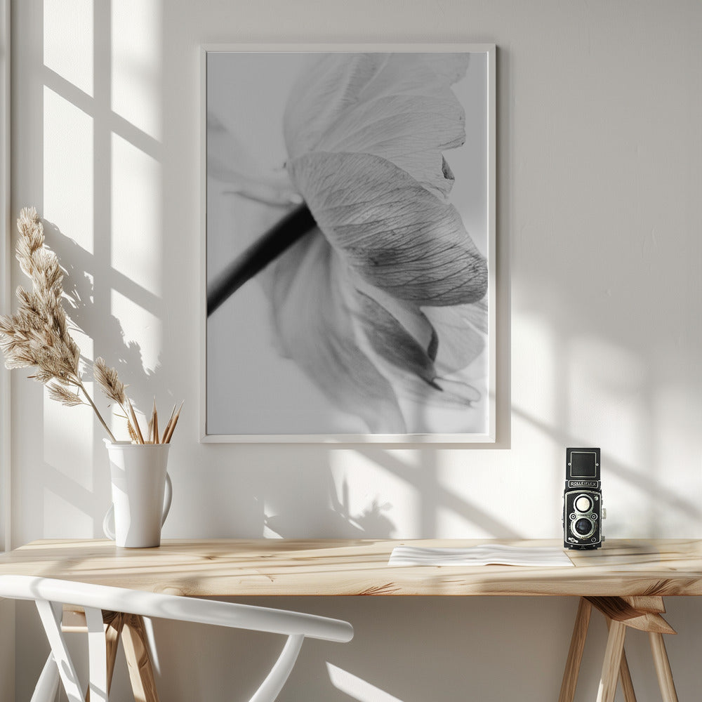 Wall art Blooming Flower Canvas Print