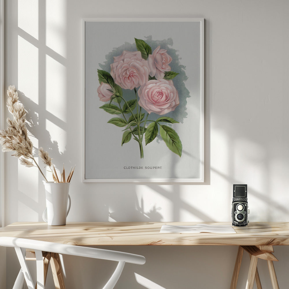 Pink Rose, Clothilde Soupert Lithograph Wall Artwork In White Floating Frame