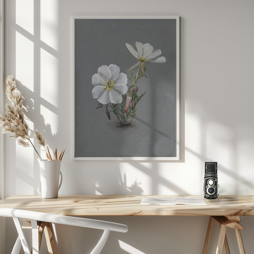 Giant Helleborine (1880) Wall Artwork In White Floating Frame