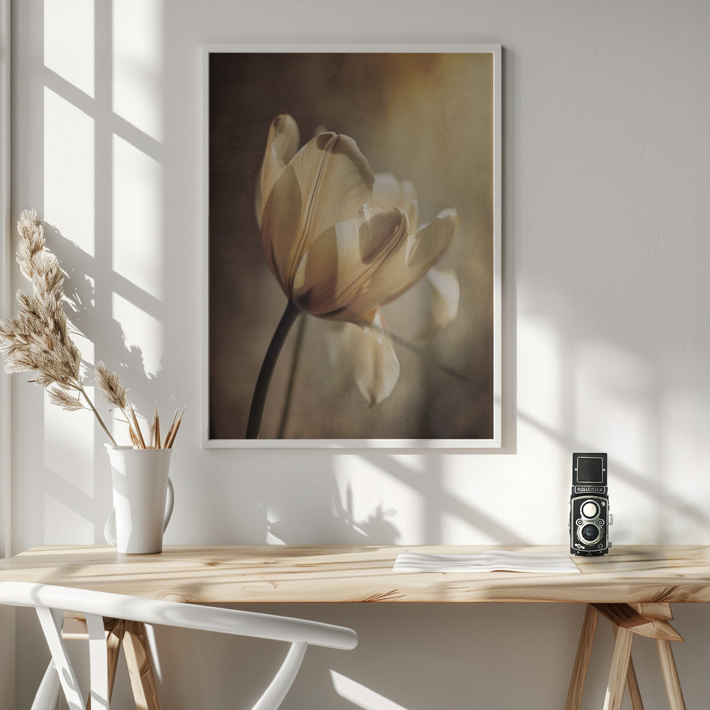 Wall art Pastel Tulip 36X48inch Gallery Wrapped (Ready to Hang)