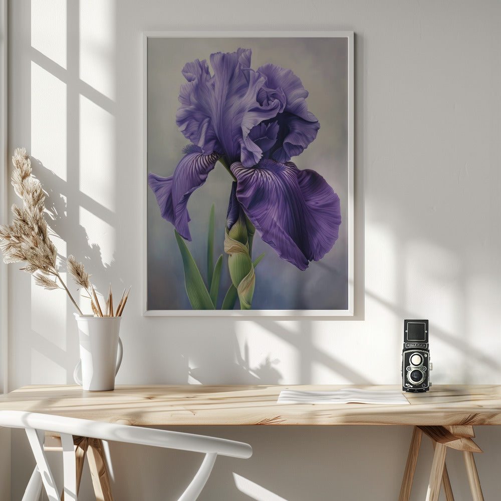 Wall art Iris Fl 105 36X48inch Gallery Wrapped (Ready to Hang)