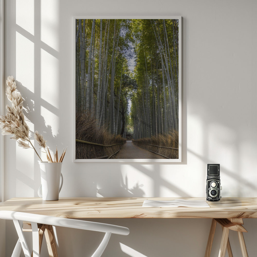 Landscape Photography Canvas Print-wall-art-mighty-arashiyama-bamboo-forest-36X48
