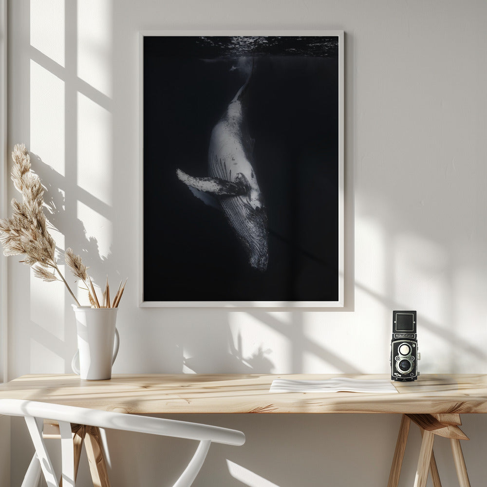 Black Whale Wall Artwork In White Floating Frame