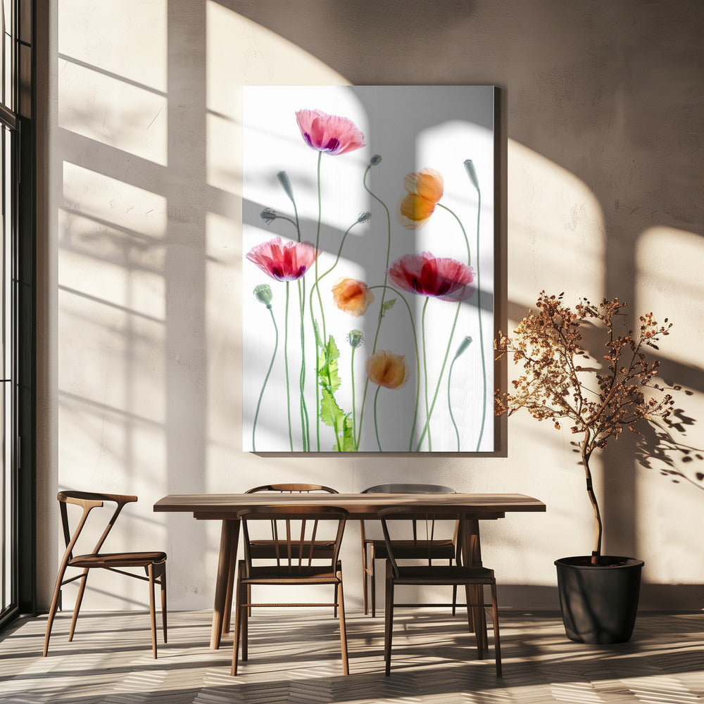 Poppies Wall Artwork In White Floating Frame