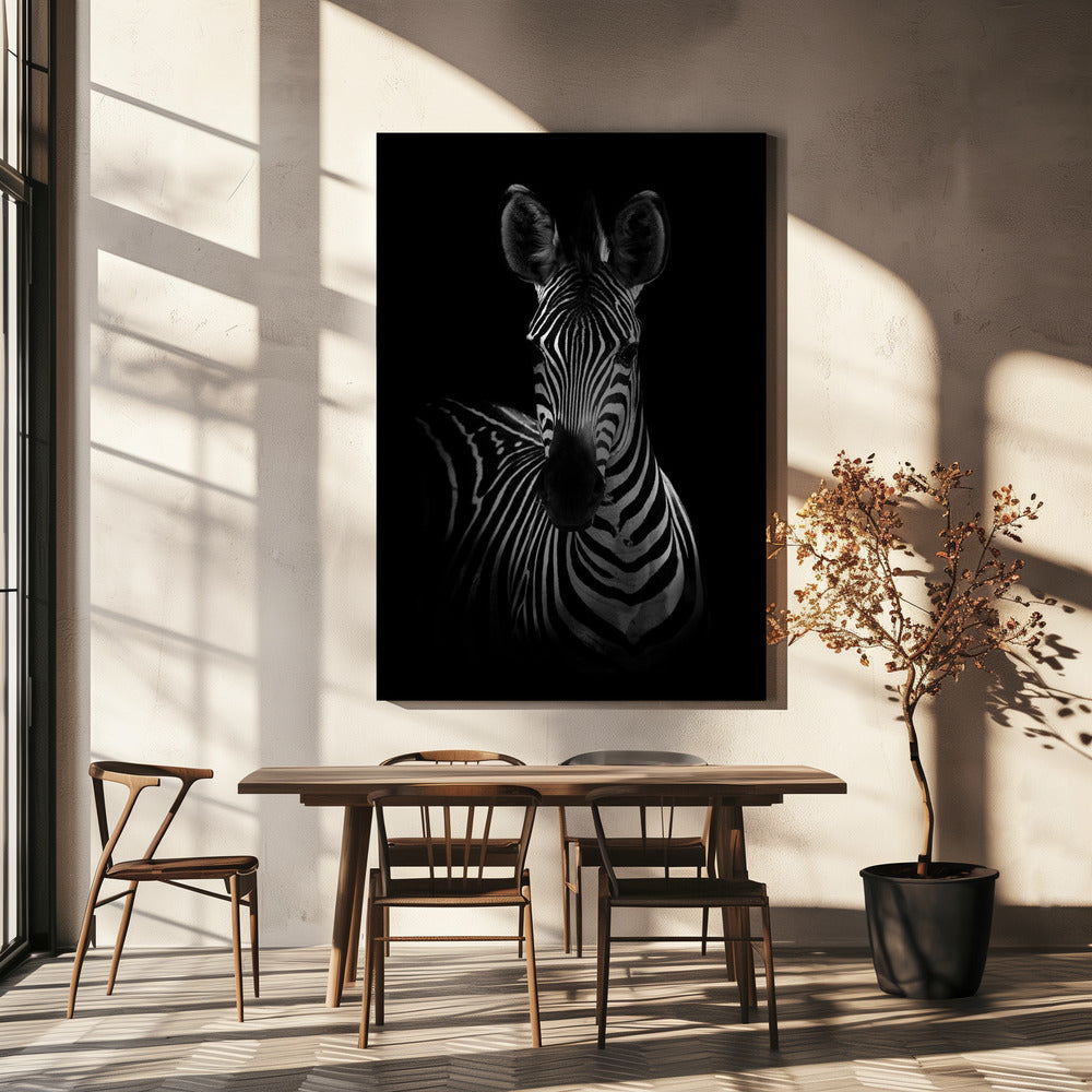 The Zebra Wall Artwork In White Floating Frame