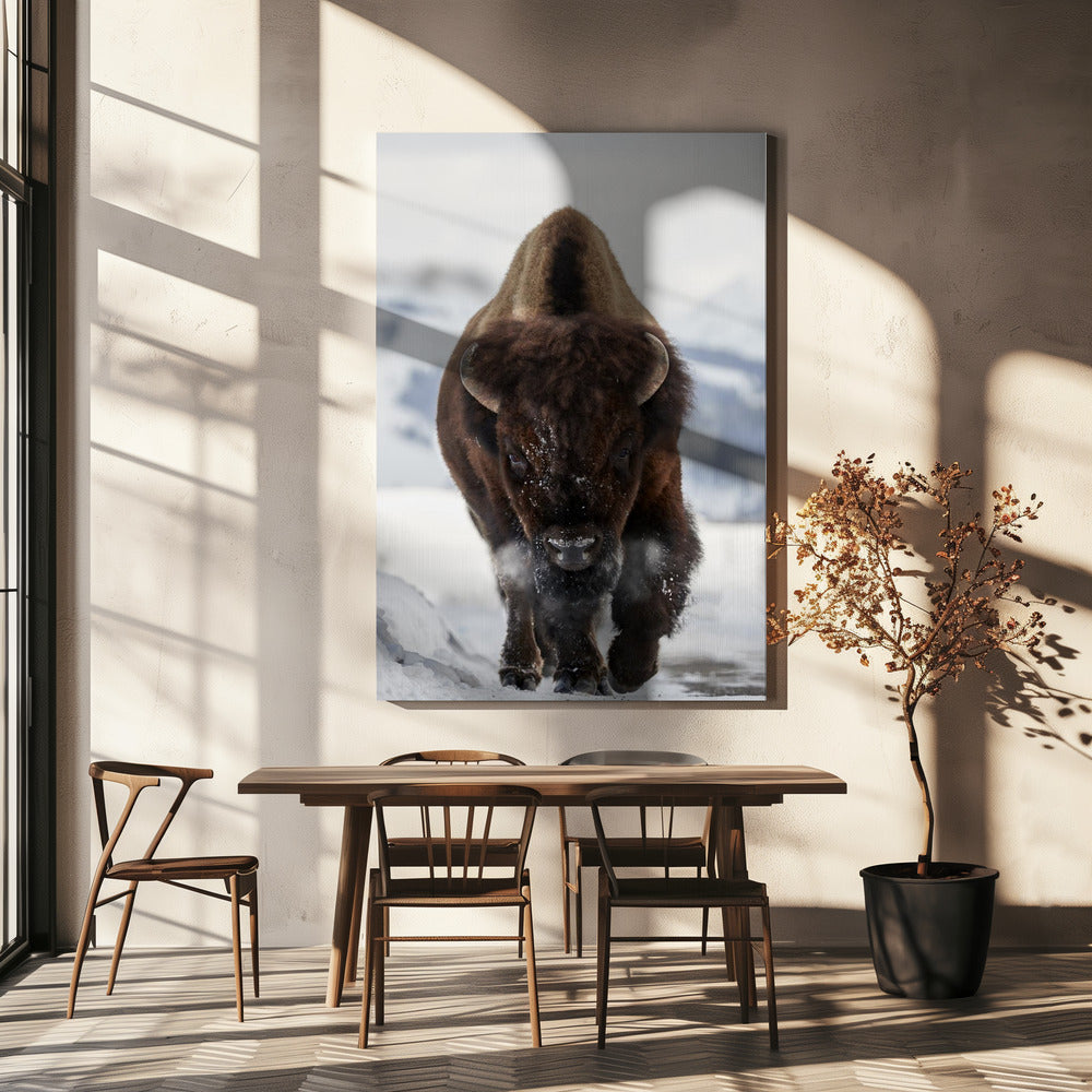Bison Incoming Wall Artwork In Black Floating Frame