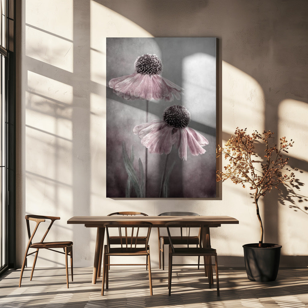Duet Wall Artwork In White Floating Frame
