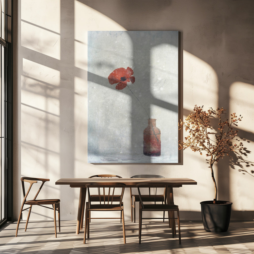 Winter Poppy Wall Artwork In White Floating Frame