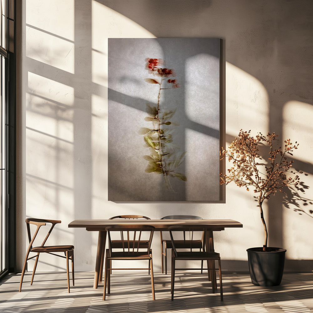 Exposed Wall Artwork In White Floating Frame