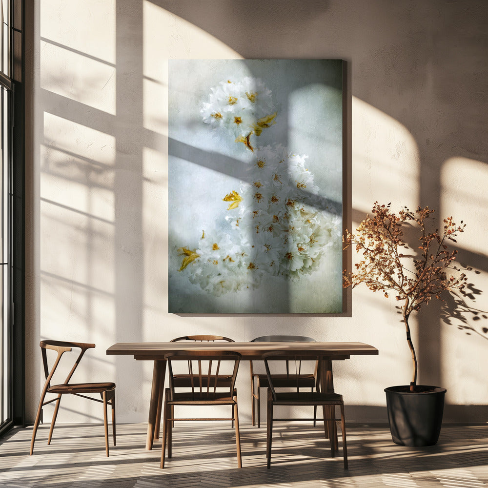 Cherry blossoms Wall Artwork In White Floating Frame