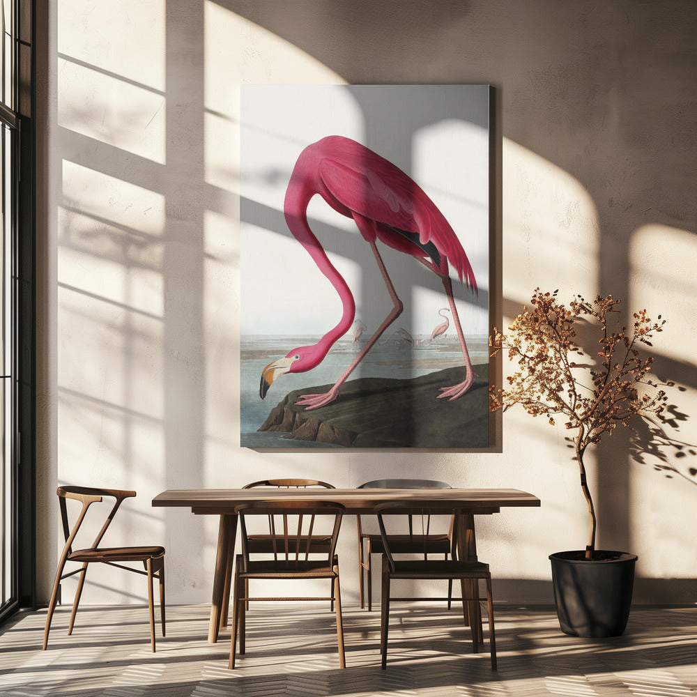 Pink Flamingo Ii From Birds of America (1827) Wall Artwork In White Floating Frame