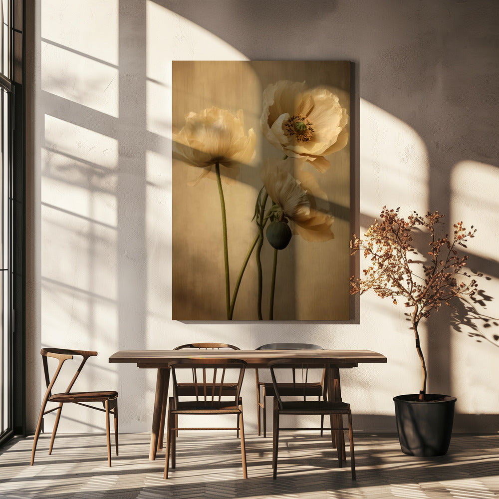 Poppies 24 Wall Artwork In White Floating Frame