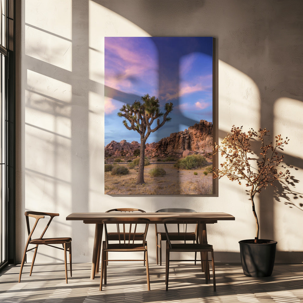 Landscape Photography Canvas Print-wall-art-joshua-tree-evening-atmosphere-24X36
