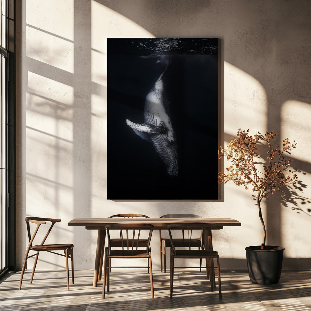 Black Whale Wall Artwork In White Floating Frame