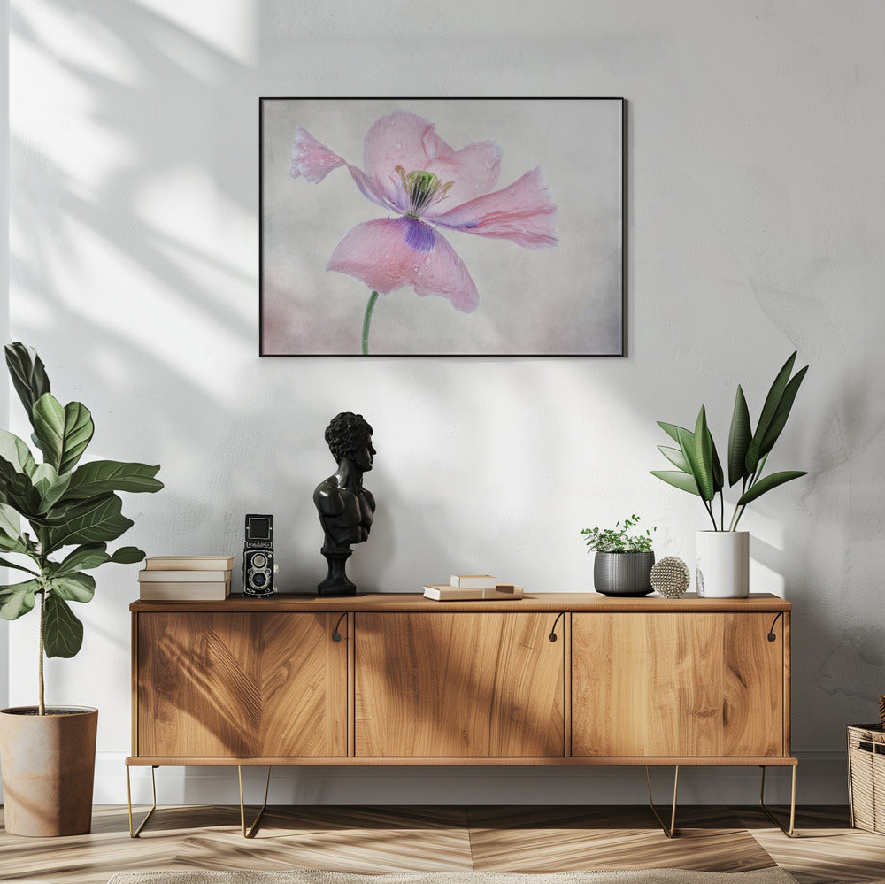 Pastel poppy Wall Artwork In White Floating Frame