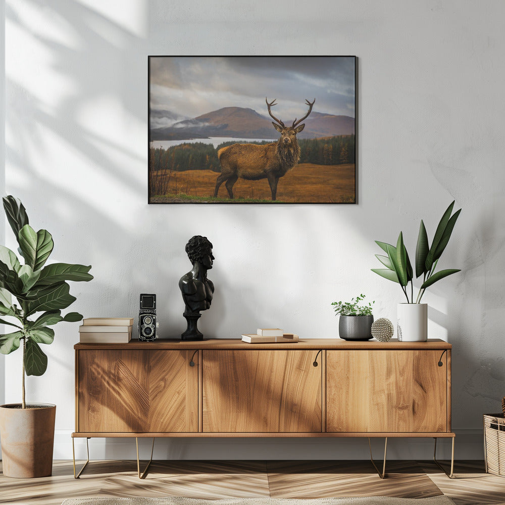 Scottish Stag Wall Artwork In White Floating Frame