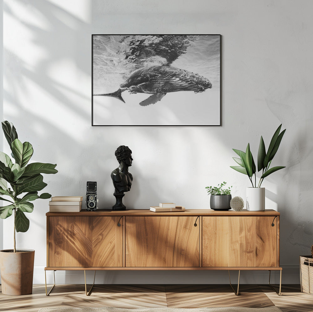 Humpback whale calf Wall Artwork In White Floating Frame