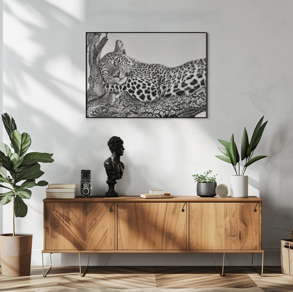 Time to rest Leopard Wall Artwork In White Floating Frame