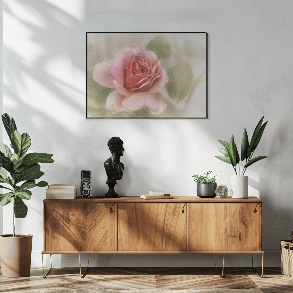 smooth rose Wall Artwork In White Floating Frame