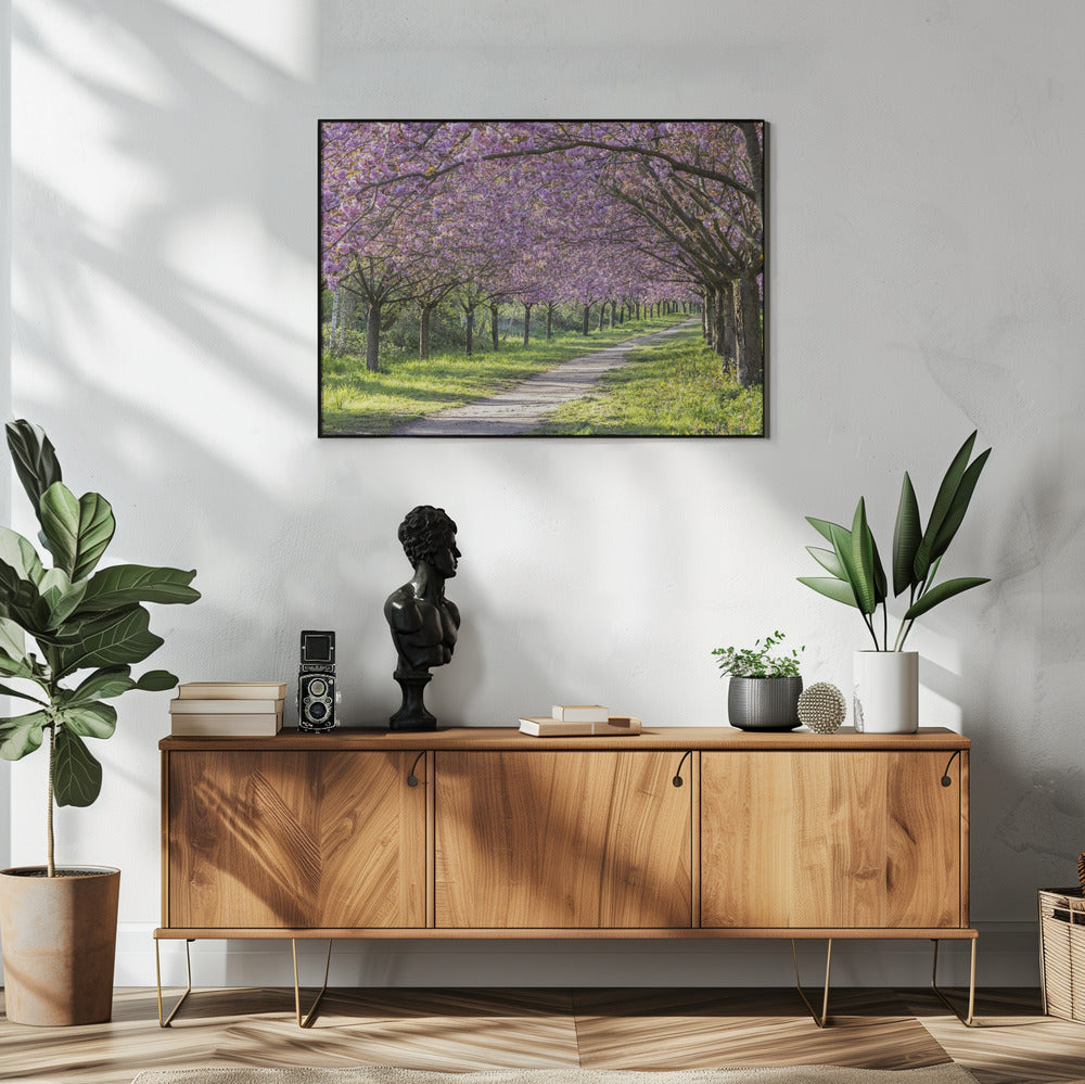 Landscape Photography Canvas Print-wall-art-idyllic-cherry-blossom-alley-48X36inches