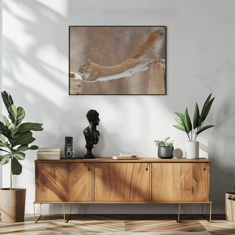 Wall art The Acrobat