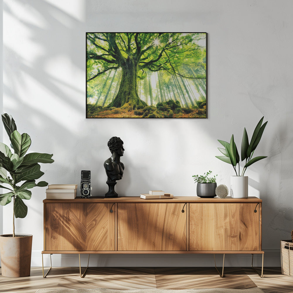 Ponthus' Beech Wall Artwork In White Floating Frame