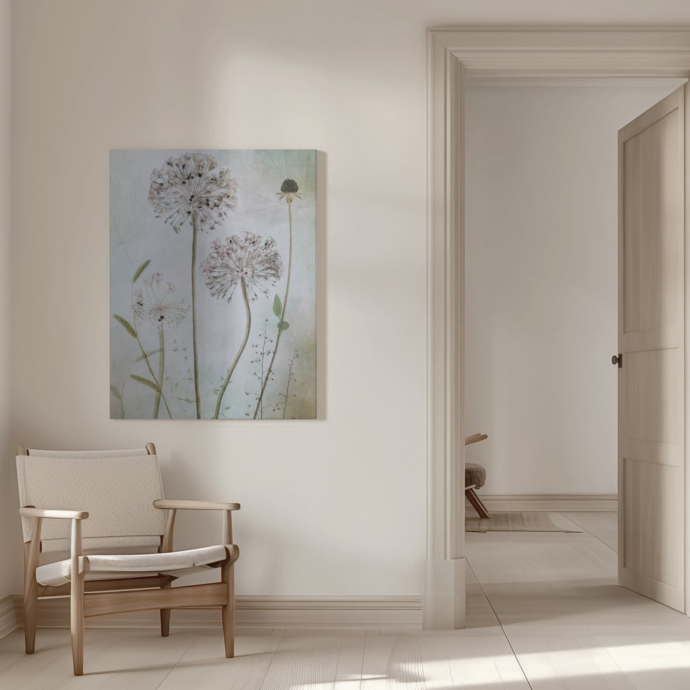 Allium Wall Artwork 0