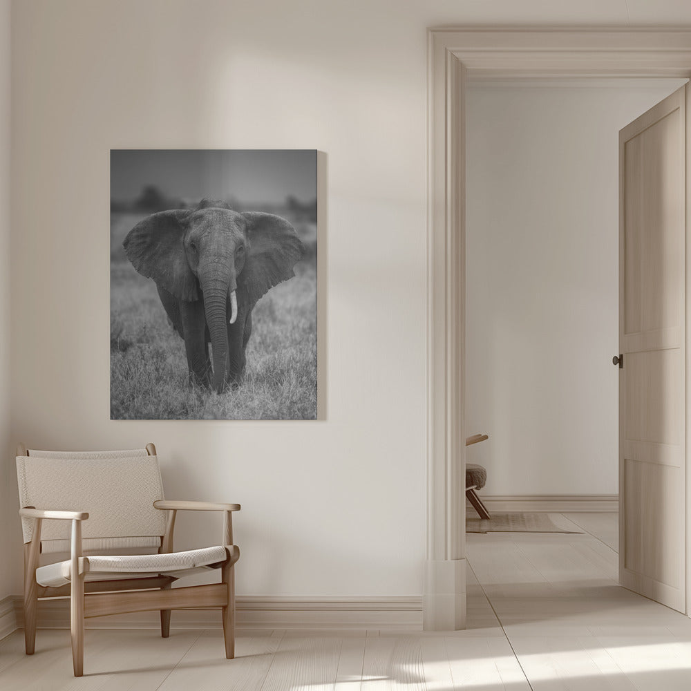 SINGULARITY Wall Artwork 0