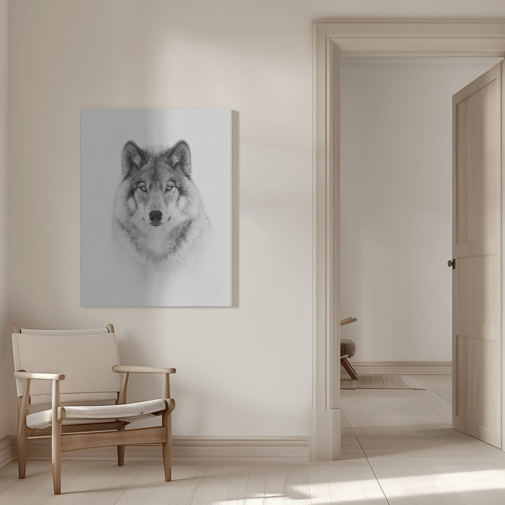 Portrait of a Timber Wolf Wall Artwork 0