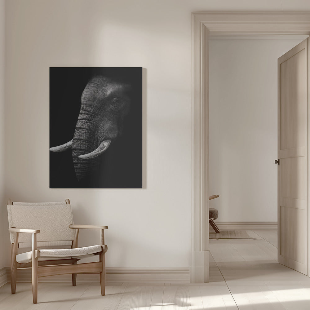 Portrait Wall Artwork 0