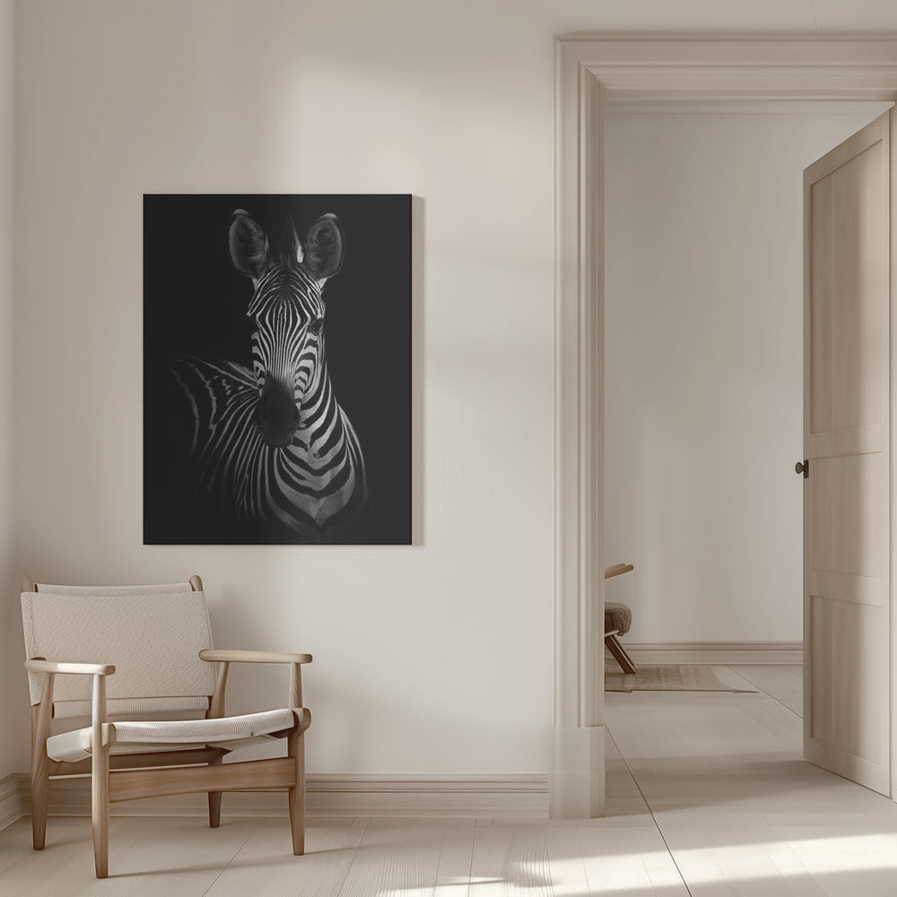 The Zebra Wall Artwork 0