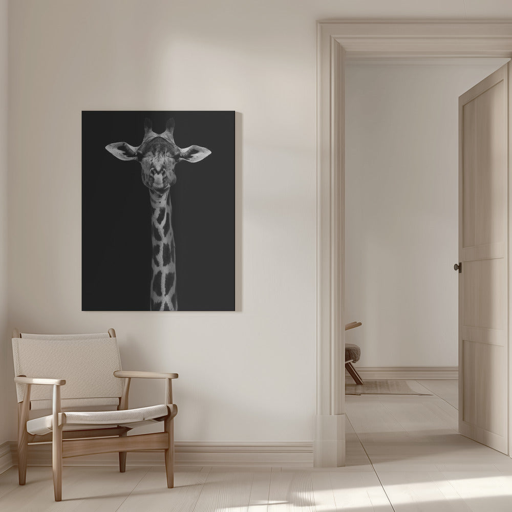 Giraffe Portrait Wall Artwork 0