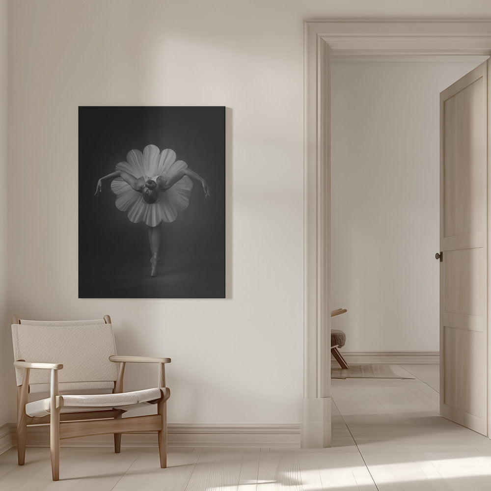 Floral Ballet Wall Artwork 0