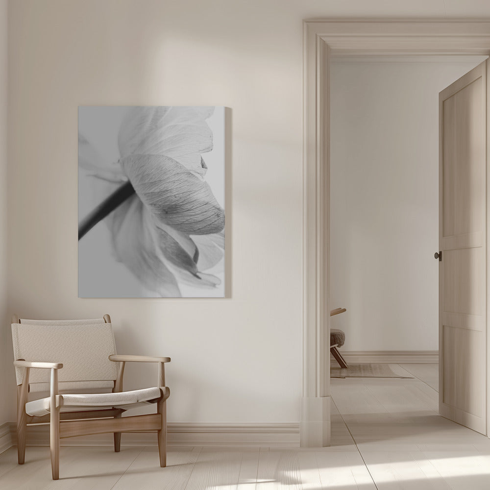 Wall art Blooming Flower Canvas Print