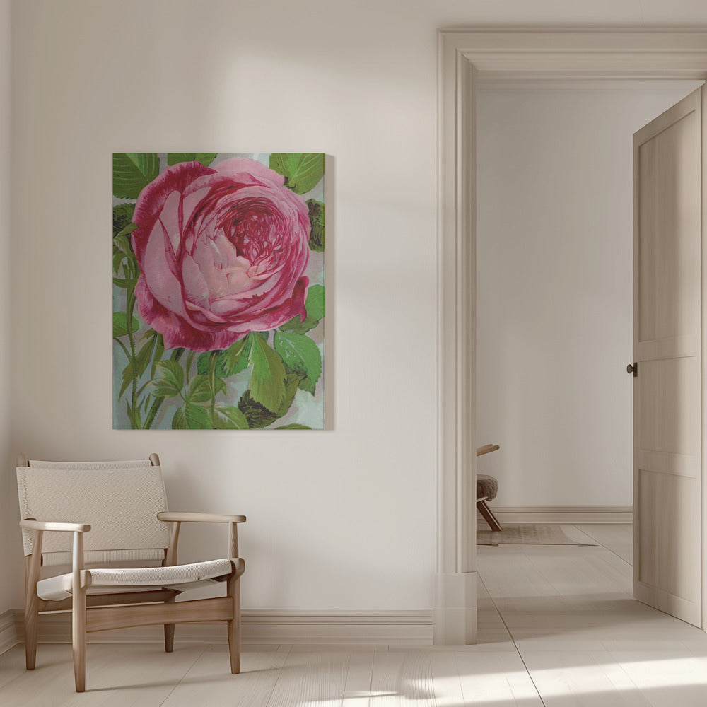 Pink Rose, Mrs John Laing Lithograph Wall Artwork 0