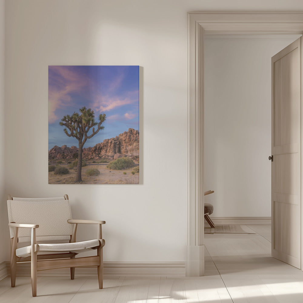 Landscape Photography Canvas Print-wall-art-joshua-tree-evening-atmosphere-