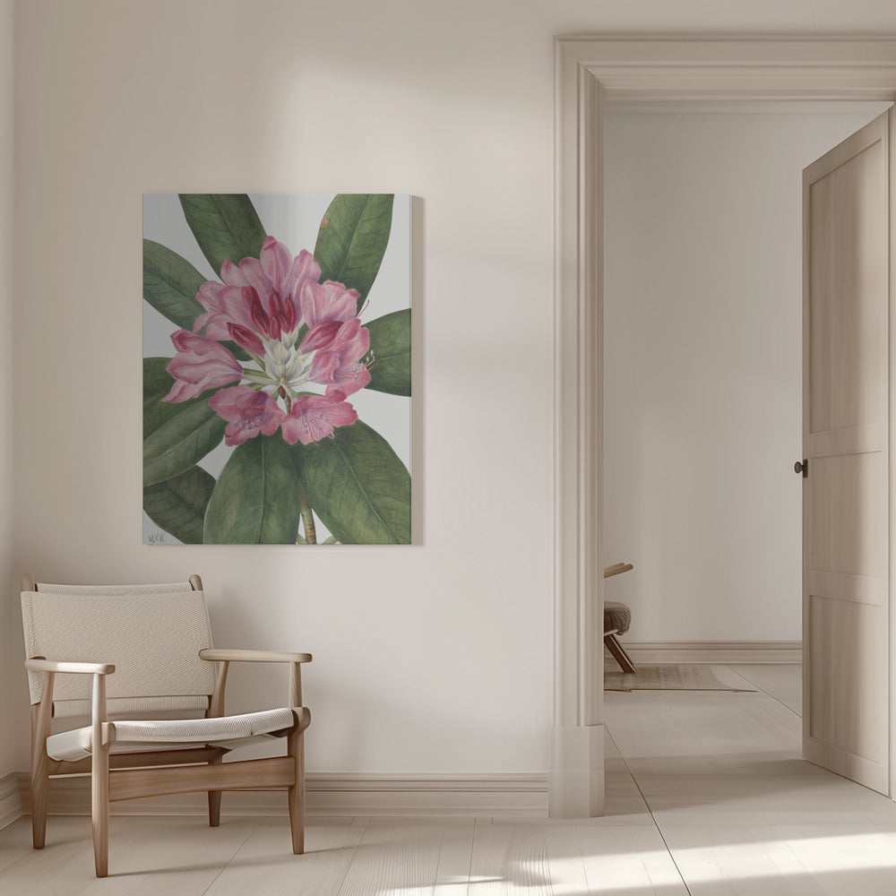 Mountain Rose Bay (1932) Wall Artwork 0