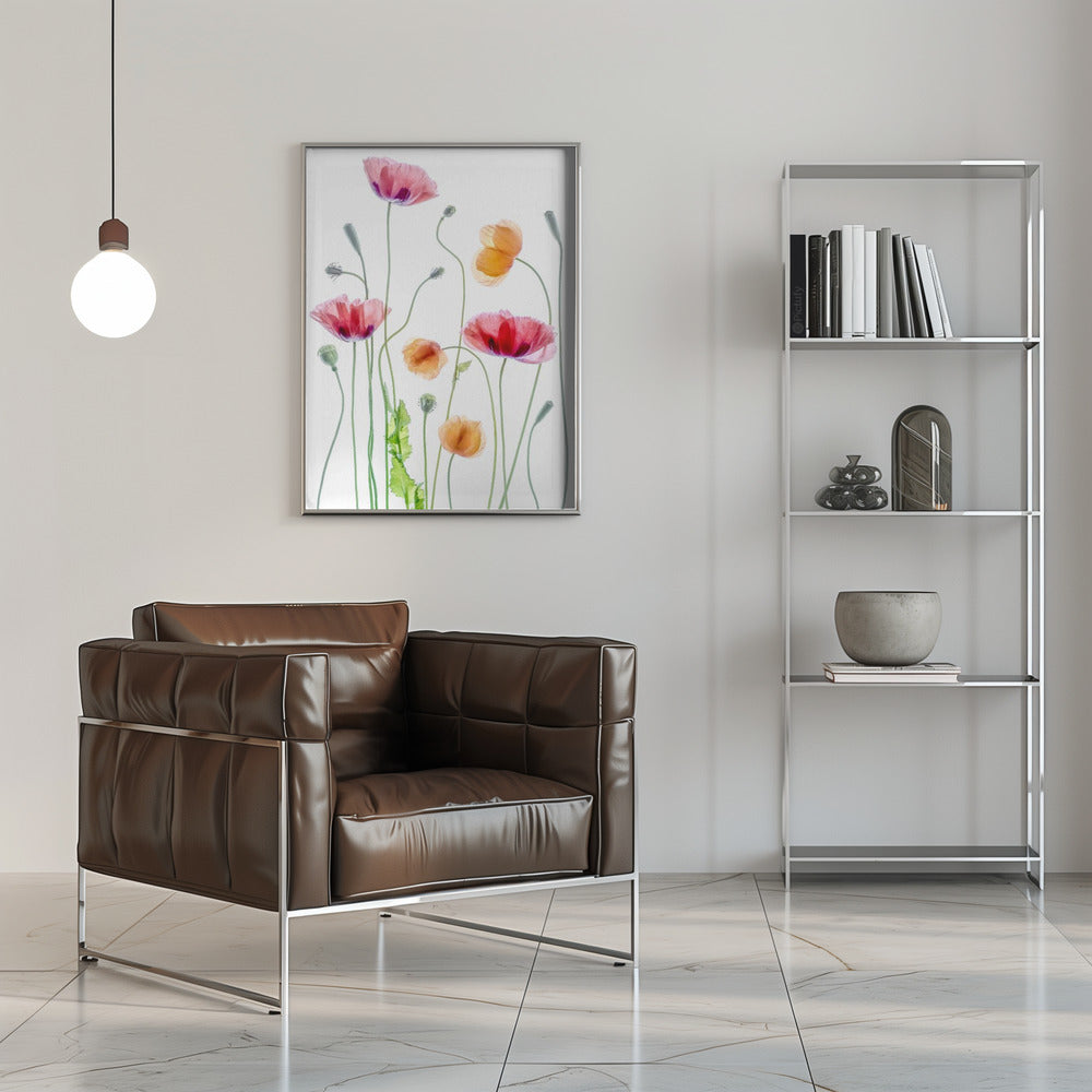 Poppies Wall Artwork 0