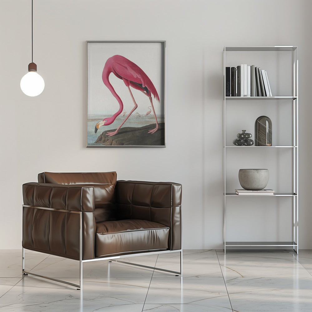 Pink Flamingo Ii From Birds of America (1827) Wall Artwork 0