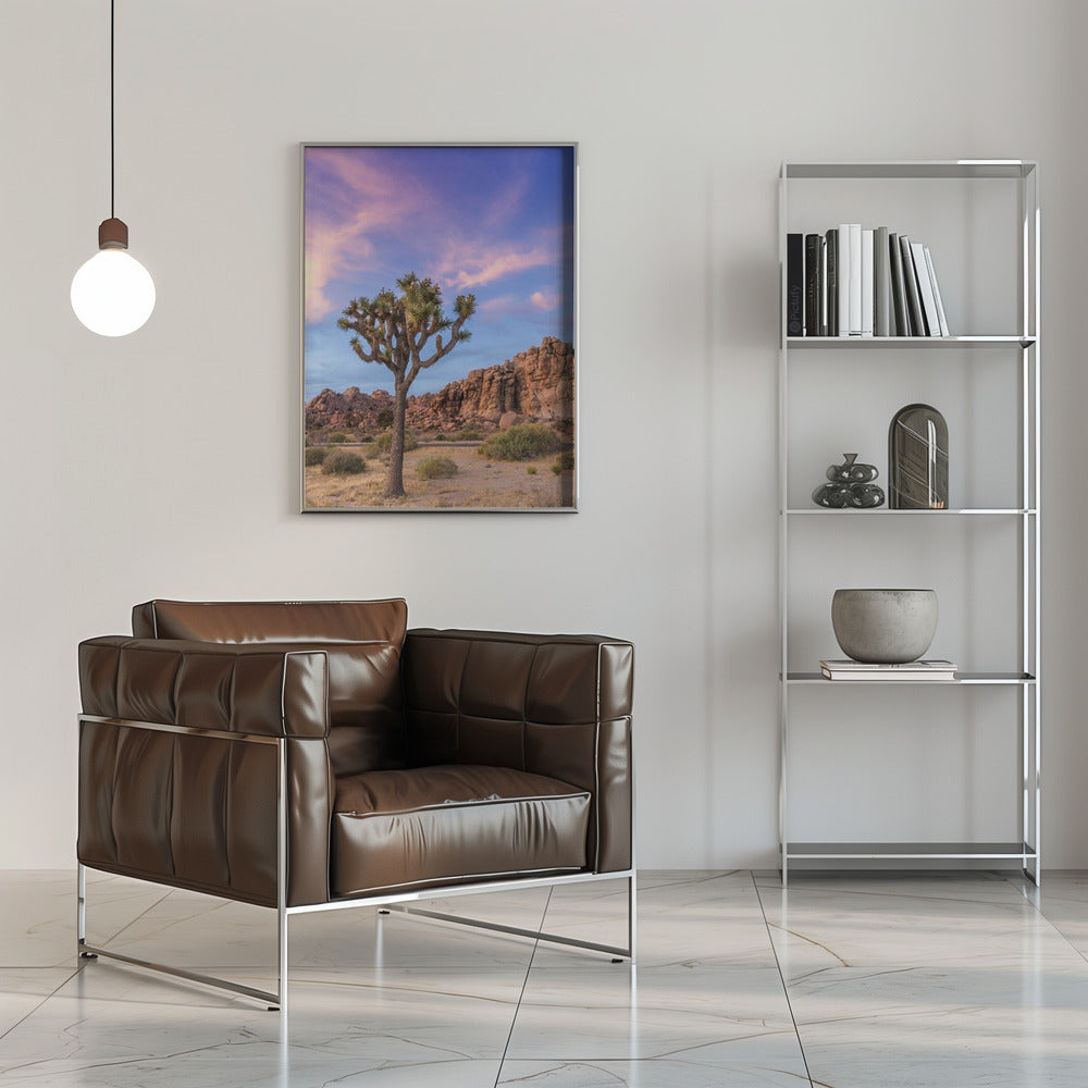 Landscape Photography Canvas Print-wall-art-joshua-tree-evening-atmosphere-