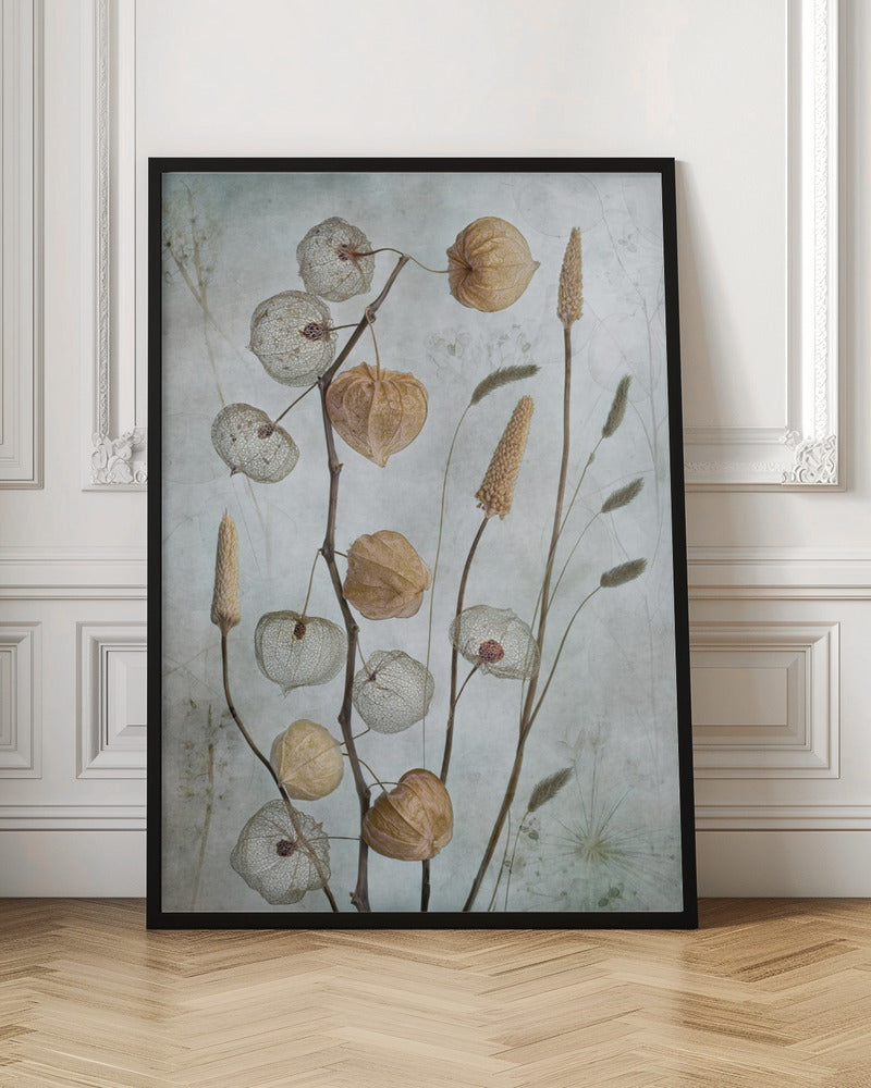 Lanterns* Wall Artwork In Black Floating Frame