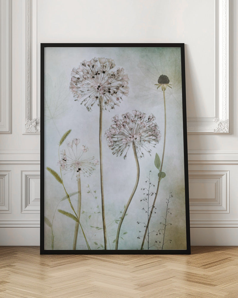 Allium Wall Artwork In Black Floating Frame