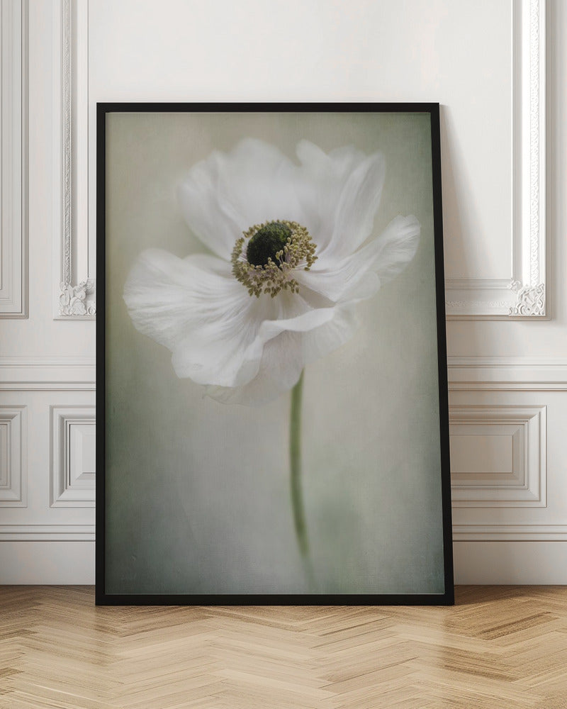 Single White Wall Artwork In Black Floating Frame