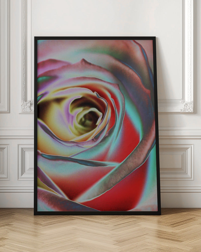 Rose Wall Artwork In Black Floating Frame