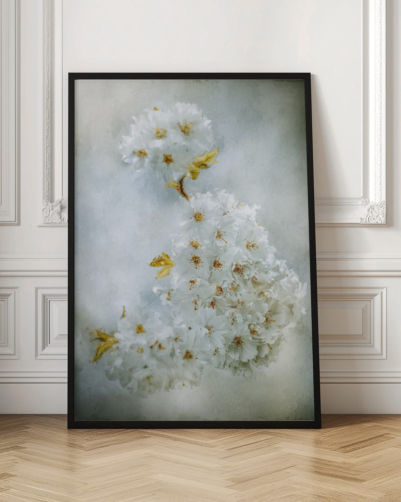 Cherry blossoms Wall Artwork In Black Floating Frame