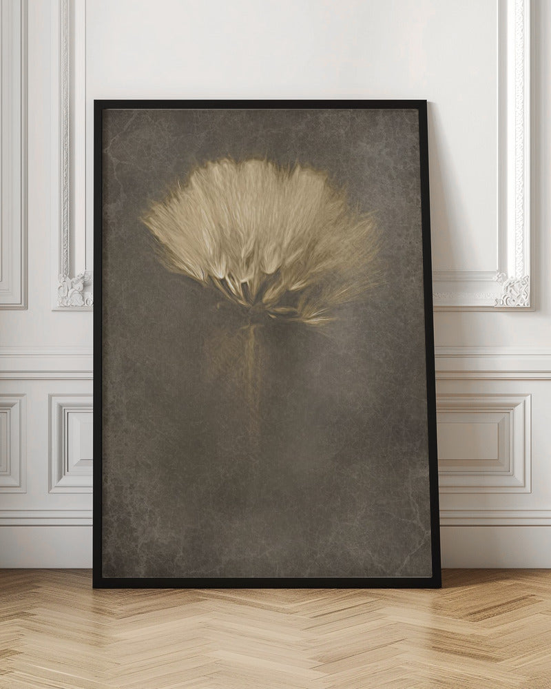 Mysterious Days Wall Artwork In Black Floating Frame