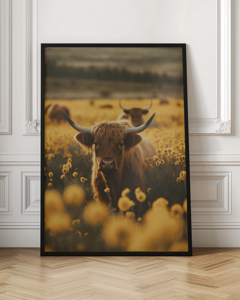 Highland Cows In Flower Field Wall Artwork In Black Floating Frame