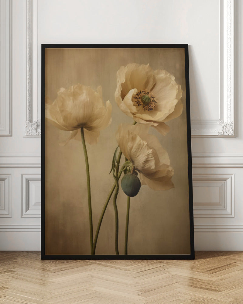 Poppies 24 Wall Artwork In Black Floating Frame