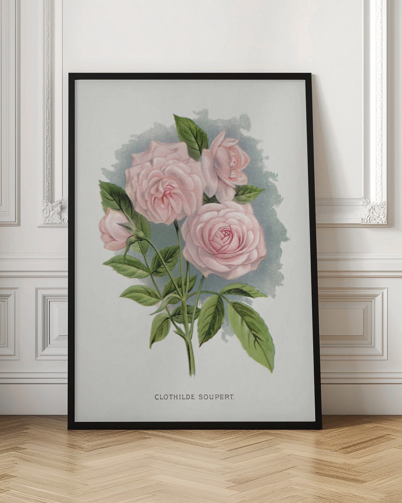 Pink Rose, Clothilde Soupert Lithograph Wall Artwork In Black Floating Frame