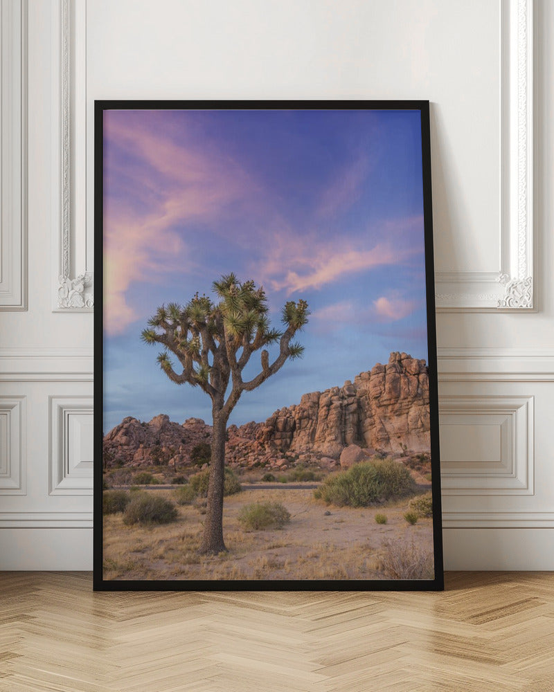 Landscape Photography Canvas Print-wall-art-joshua-tree-evening-atmosphere-36X48
